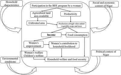 Improving women's purchasing power through land-enhancing technologies: The case of bio-reclamation of degraded lands in Niger